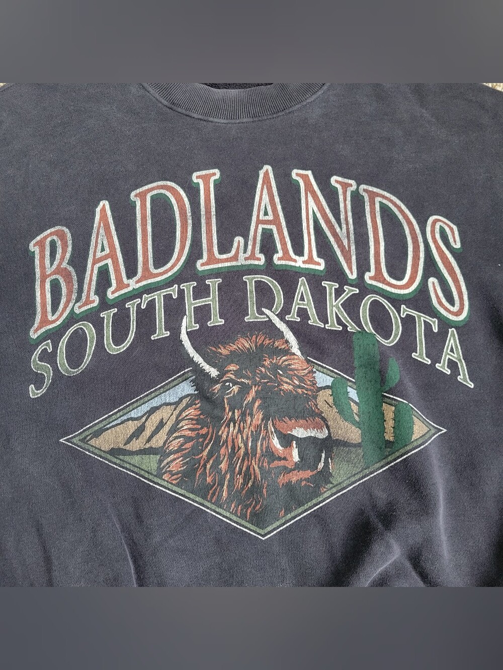 Abercrombie & Fitch Sweatshirt Badlands South Dakota Black Oversized Crew XS - Picture 2 of 4